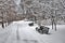 Park walkway, benches, trees in the snow