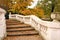 Park with white staircase and fallen leaves