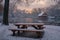 Park in winter wonder Group picnic scenes with snowy landscapes