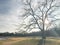 Park in wintertime with bare tree and bench