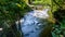 Parke waterway river Bovey