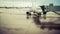 Parked aircraft on an airport through the gate window.