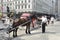 Parked horse carriage by Central Park