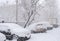Parked snow-covered cars during plentiful snowfall in winter day.