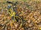 Parked yellow rent-a-bike in city park