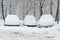 Parking cars covered by a lot of snow