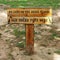 Parking for ducks at Vergenoegd winery in South Africa