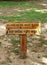 Parking for ducks at Vergenoegd winery in South Africa