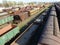 Parking freight cars at the railway station