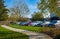 Parking lot cars parked under green trees in residential area, Parking zone. Row of cars parked at quiet suburban street