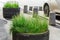 Parking lot with concrete columns decorated with a flower bed with green grass