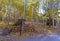 Parking Lot Near Trail head In Flagstaff, Arizona