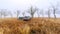 a parking lot in an oak forest in late autumn on a foggy morning