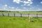 Parking in nature with a wooden fence, trees on the horizon and white clouds on a blue sky