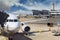 Parking at terminal gate passenger aircraft at the connected bridge is loaded with luggage