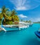 Parking traditional Dhoni boats, Maldives