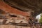 The Parkâ€™s Ranger of Kakadu National Park in Australia explaining about the rock painting in Ubirr.