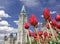 The Parliament of Canada with red tulips in the foreground
