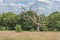 Parliament Hill in Hampstead Heath, London, UK