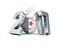 Parliamentary elections in Algeria on a white background 3D illustration