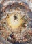 PARMA, ITALY - APRIL 16, 2018: The detail of fresco of Assumpcion of Virgin Mary in cupola of Duomo
