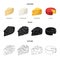 Parmesan, roquefort, maasdam, gauda.Different types of cheese set collection icons in cartoon,black,outline style vector