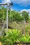 Paronella Park tropical lush in beautiful Queensland, Australia