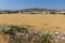 Paros Island Landscape, Cyclades