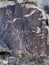 Parowan Gap Petroglyphs Native American rock art.