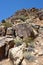 PAROWAN, UTAH - JUNE 29, 2017: Parowan Gap petroglyphs. At the edge of the dry Little Salt Lake, lies a natural gap in the