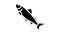 parr salmon glyph icon animation