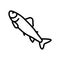 parr salmon line icon vector illustration