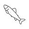 parr salmon line icon vector illustration