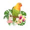 Parrot Agapornis lovebird tropical bird standing on a branch and Brugmansia with yellow orchid on a white background vector illus