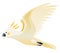 Parrot animation. Exotic adorable fauna character flight. White sulphur crested cockatoo. Animated tropical bird flying