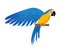 Parrot Ara ararauna flat icon, cartoon style. Blue-and-yellow macaw character. Colored bird flies. Isolated on white