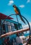 Parrot bird hanging around an ice cream food truck in Eagle Beach, Aruba