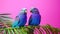 Parrot birds on wood tree branch colorful animal on vibrant background