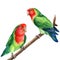 Parrot on a branch. Lovebirds watercolor tropical birds illustration, hand drawing painting