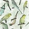 Parrot budgerigar Melopsittacus undulatus seamless pattern