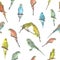 Parrot budgerigar Melopsittacus undulatus watercolor seamless pattern