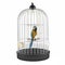 Parrot Cage isolated