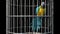 Parrot Close Cage Bird Flies Alpha Matte 3D Rendering Animation