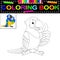 Parrot coloring book