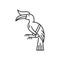 Parrot exotic bird fowl isolated outline toucan