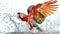 Parrot flapping wings in water splash, vivid colors, front angle, white scene , cinematic