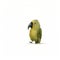 Parrot With Hand In Mouth: Art By Jon Klassen