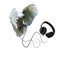 Parrot and headphones on a white background