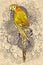 Parrot line art with yellow colored on floral design element