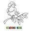 Parrot. Little funny bird. Coloring book